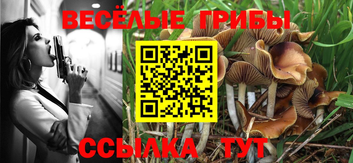 Псилоцибиновые грибы прущие грибы Полысаево