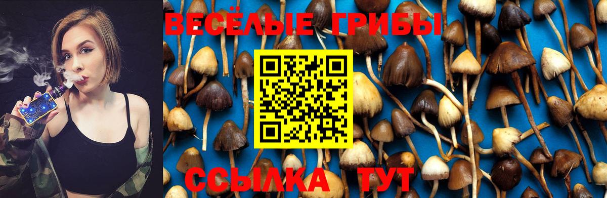 Галлюциногенные грибы MAGIC MUSHROOMS  Вход с VPN  Полысаево  Галлюциногенные грибы ЛСД 